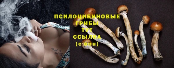 MDMA Козловка