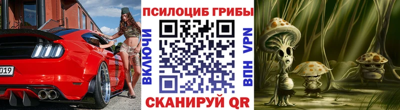 Псилоцибиновые грибы MAGIC MUSHROOMS  Купить где  Кашин 