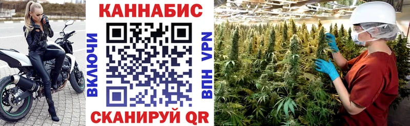 Каннабис индика Купить Кашин